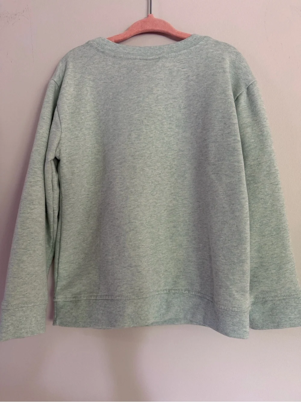 Tommy Bahama Mint Green Dinosaur Sweatshirt 5T